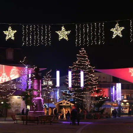 Hotel Restaurant La Tour Romaine - Haguenau - Strasbourg Nord 3*