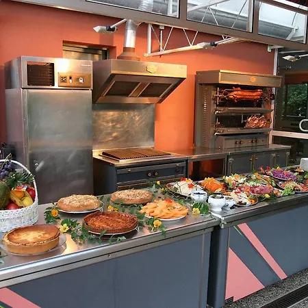 Hotel Restaurant La Tour Romaine - Haguenau - Strasbourg Nord 3*